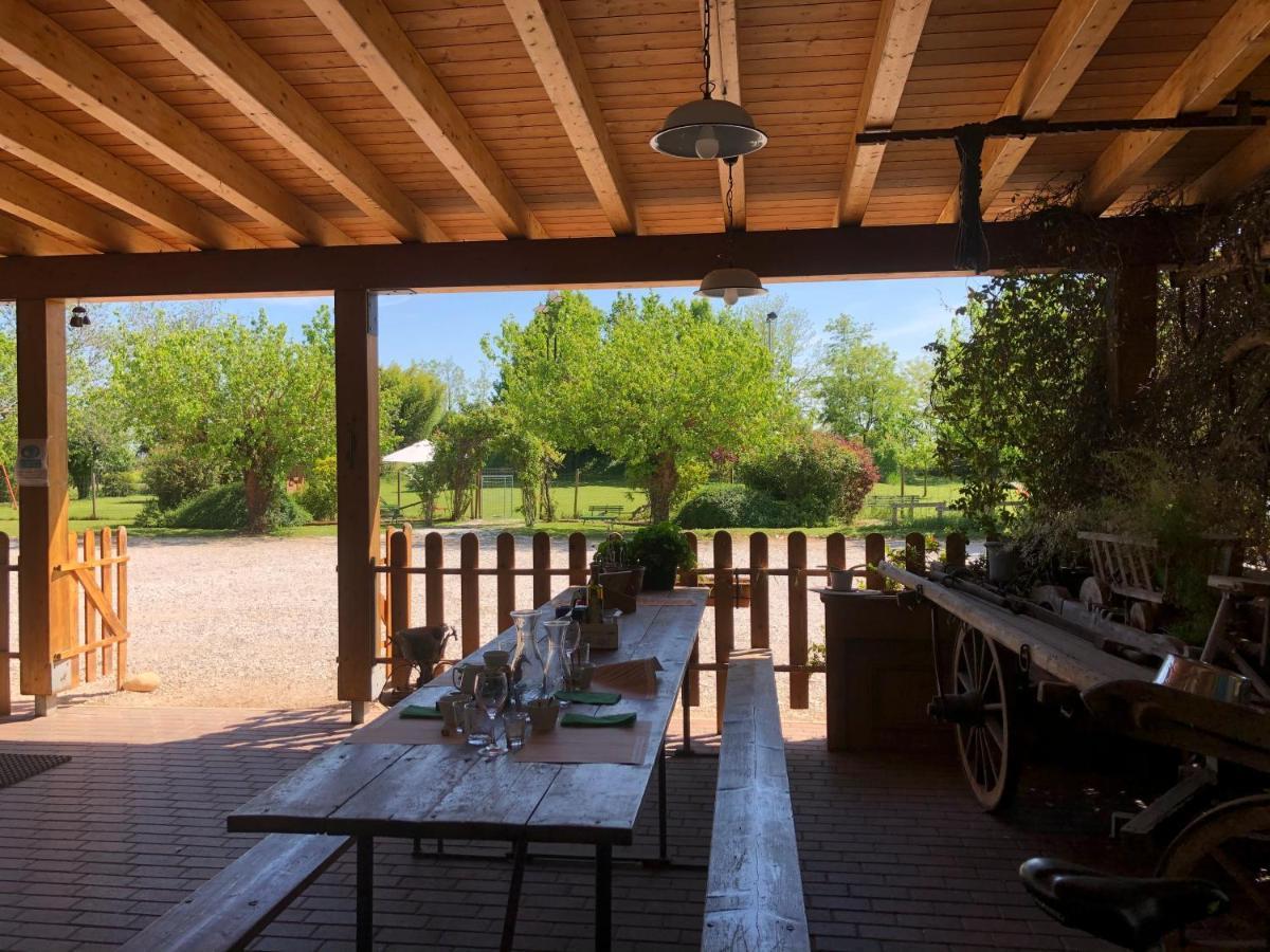 Agriturismo Il Podere Vedelago Con San Bernardo, Alpaca E Una Pentola Di Cose Da Scoprire Eksteriør bilde