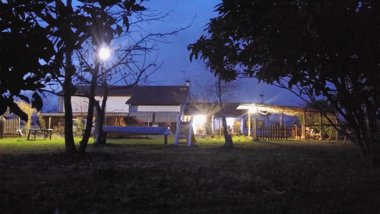 Agriturismo Il Podere Vedelago Con San Bernardo, Alpaca E Una Pentola Di Cose Da Scoprire Eksteriør bilde