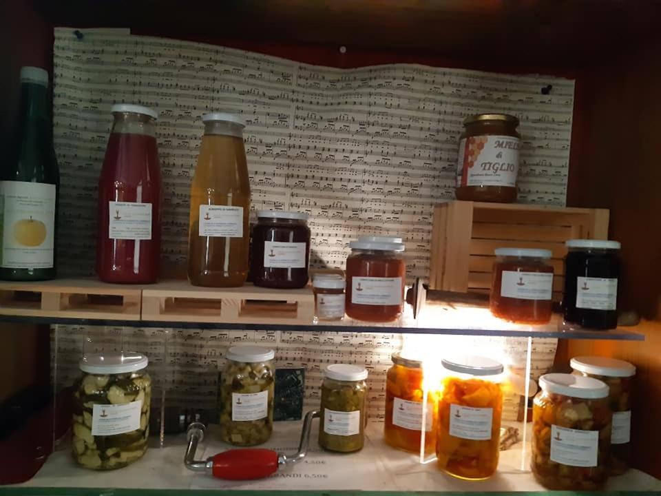 Agriturismo Il Podere Vedelago Con San Bernardo, Alpaca E Una Pentola Di Cose Da Scoprire Eksteriør bilde