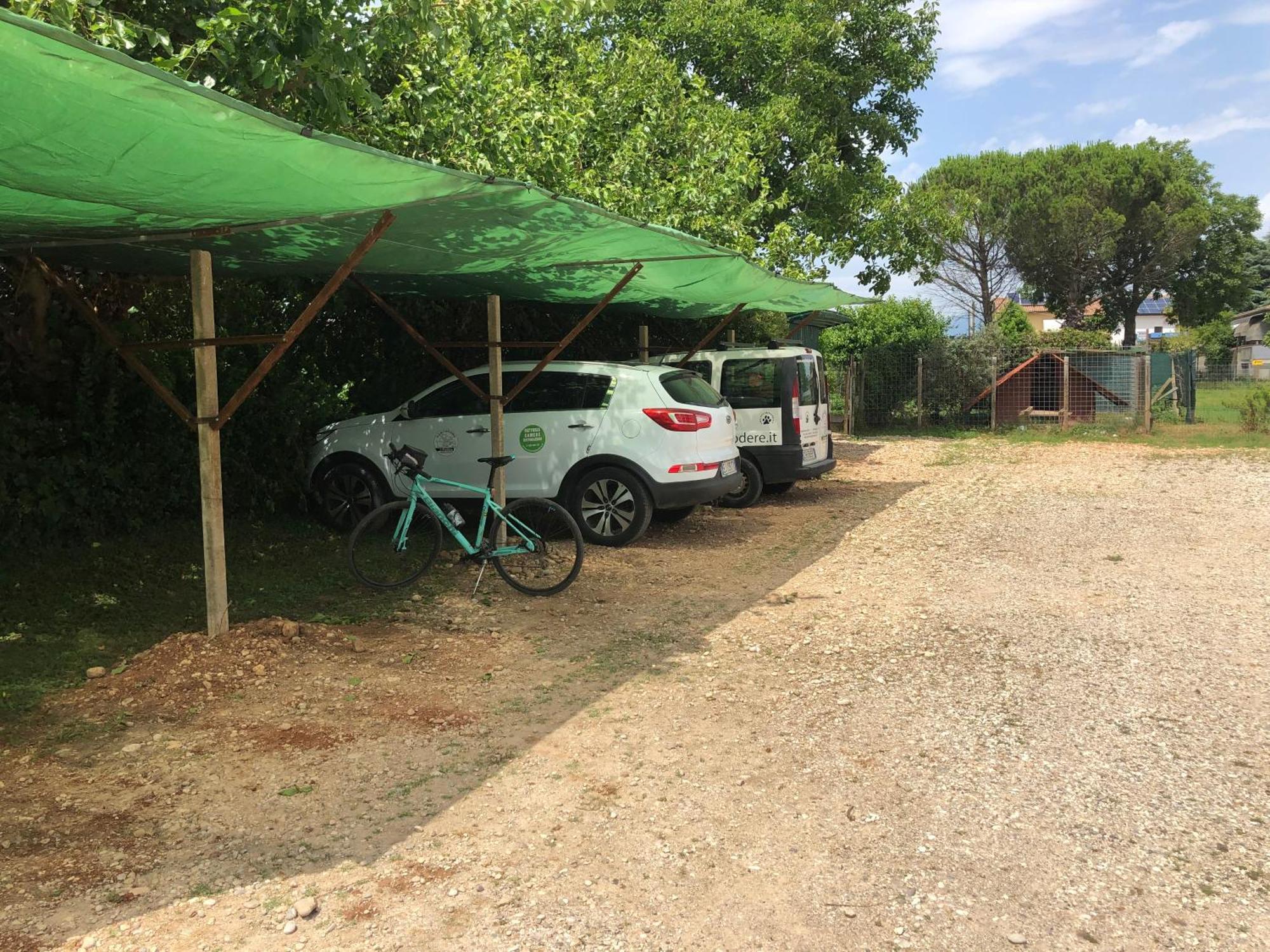 Agriturismo Il Podere Vedelago Con San Bernardo, Alpaca E Una Pentola Di Cose Da Scoprire Eksteriør bilde